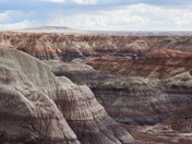 Petrified Forest National Park