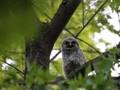 Mississippi National River & Recreation Area Minnesota