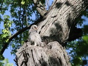 Mississippi National River & Recreation Area Minnesota