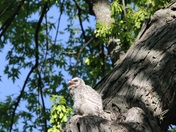 Mississippi National River & Recreation Area Minnesota