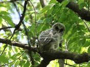 Mississippi National River & Recreation Area Minnesota