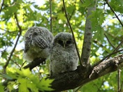 Mississippi National River & Recreation Area Minnesota
