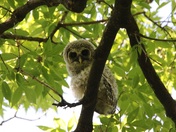 Mississippi National River & Recreation Area Minnesota