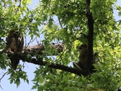 Mississippi National River & Recreation Area Minnesota