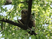 Mississippi National River & Recreation Area Minnesota