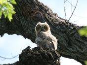 Mississippi National River & Recreation Area Minnesota