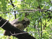 Mississippi National River & Recreation Area Minnesota