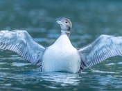 I Swear The Fish Was This Big