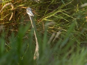 There Any Fish Around Here?