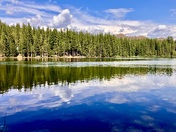 Tahoe National Forest