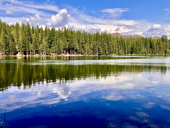 Tahoe National Forest