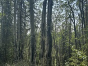 Denali National Park