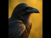 Raven