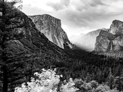 Yosemite National Park 