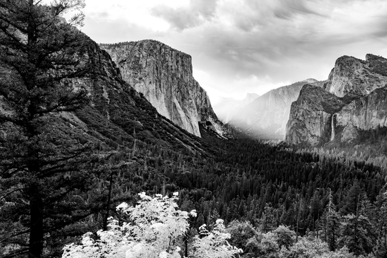 Yosemite National Park 