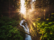 Olympic National Park 