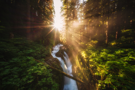 Olympic National Park 