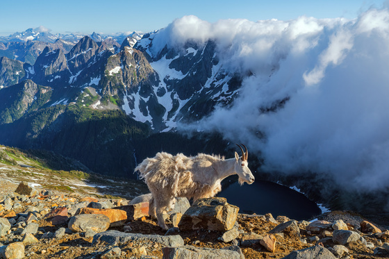 North Cascades National Park 
