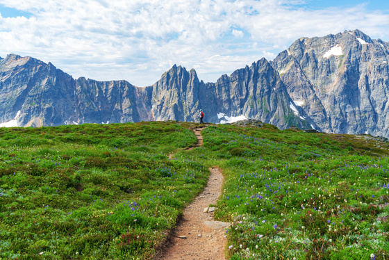 North Cascades National Park