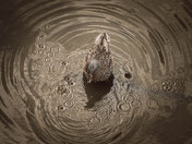 Shaking Up the Stillness