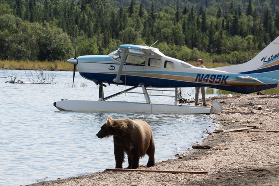 Katmai National Park and Preserve