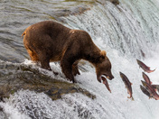 Katmai National Park and Preserve