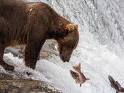 Katmai National Park and Preserve
