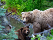 Katmai National Park and Preserve