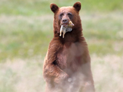 Glacier National Park, Montana