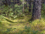 Glacier Bay National Park