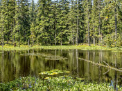 Glacier Bay National Park