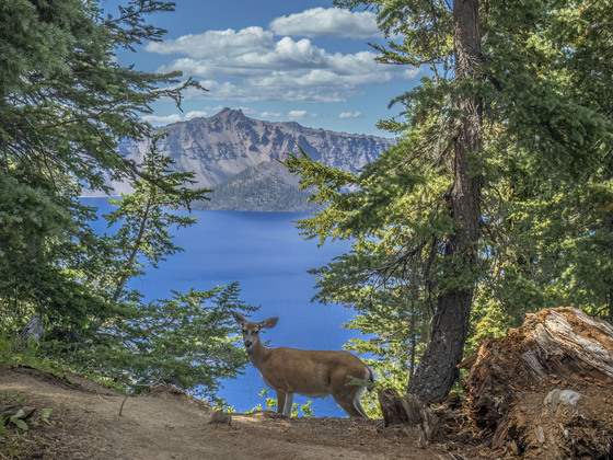 Crater Lake National Park