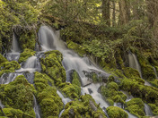 Umpqua National Forest