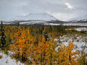 Denali National Park