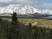 Denali National Park