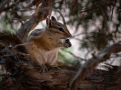 Arches National Park