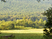 Cades Cove