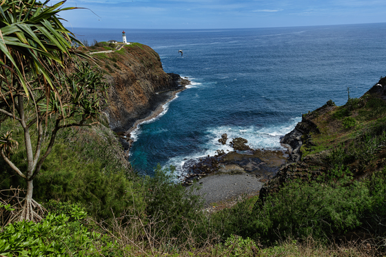 Kilauea National Wildlife Preserve