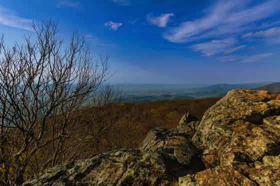 Shenandoah National Park