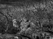 Shenandoah National Park