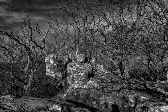 Shenandoah National Park