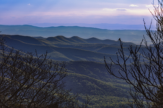 Shenandoah National Park