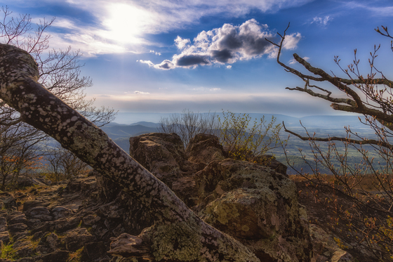 Shenandoah National Park