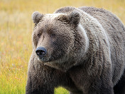 Lake Clark National Park