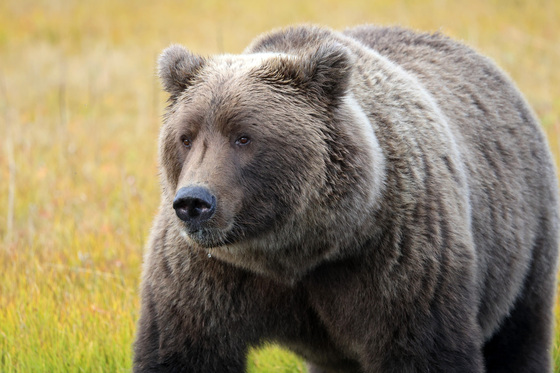 Lake Clark National Park