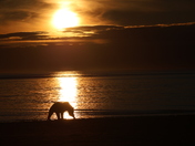 Lake Clark National Park & Preserve