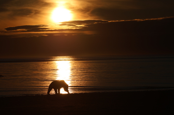 Lake Clark National Park & Preserve