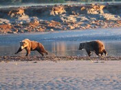 Lake Clark National Park