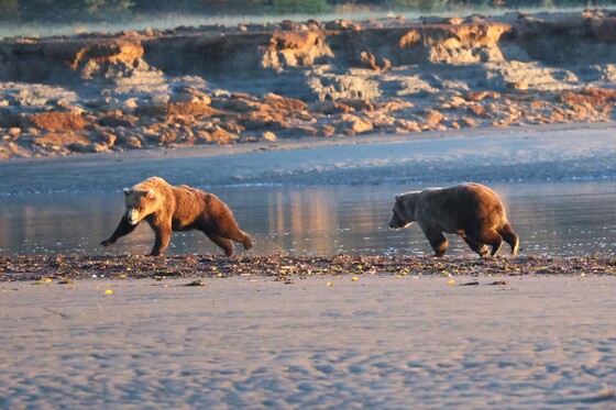 Lake Clark National Park