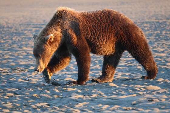 Lake Clark National Park